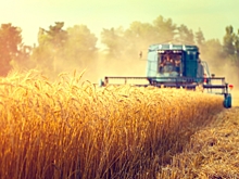 Россельхозбанк направил свыше миллиарда рублей на поддержку сезонно-полевых работ в Омской области