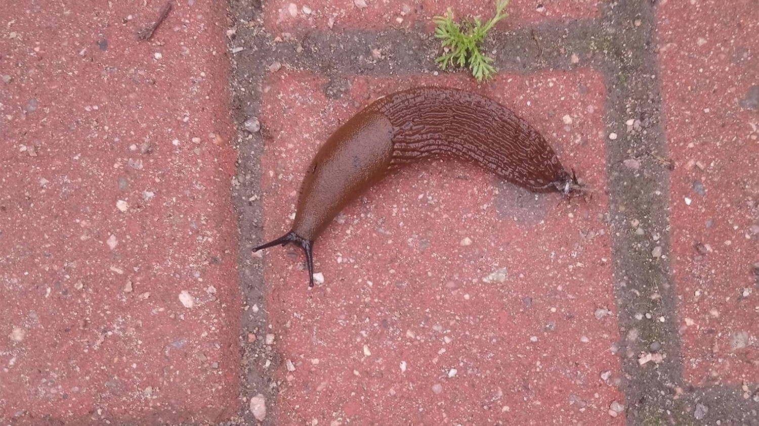 Россиян призвали готовиться к испанским атакам