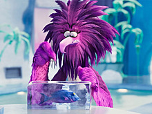 Мультфильм "Angry Birds 2 в кино" возглавил российский прокат в выходные