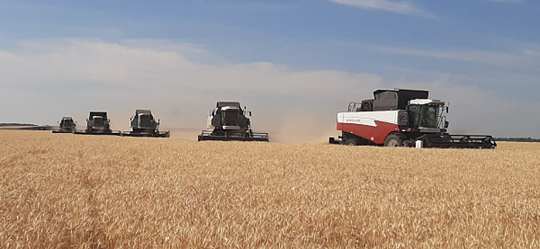 Крестьянско-фермерский прогресс: что помогает хлеборобам Хворостянского района быть лидерами