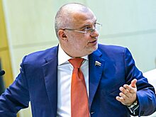 Сенатор Клишас призвал дать правовую оценку организаторам «‎облав» на уклонистов