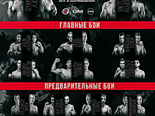 3 октября в Москве пройдет турнир MMA Series 16