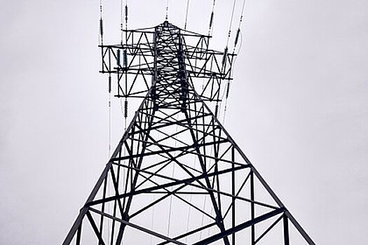 В Германии предупредили о возможных локальных отключениях электричества зимой