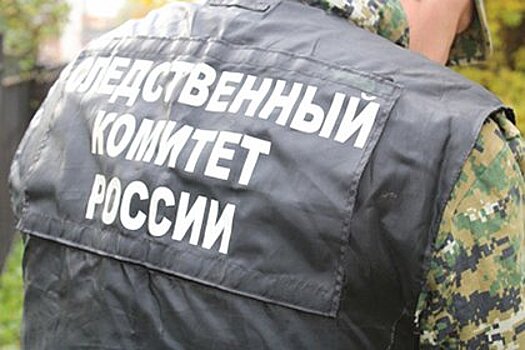 Россиянка избила двух женщин-полицейских по пути в туалет отделения