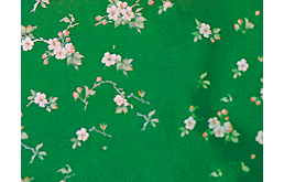 Маршрут выходного дня: Феллини и Freedom for Frida