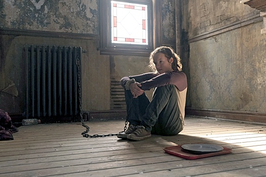 Шоураннеры The Last of Us опровергли слухи о замене Беллы Рамзи
