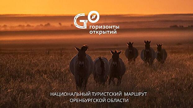 В Оренбуржье туристы «пройдут» по маршруту «Горизонты открытий»