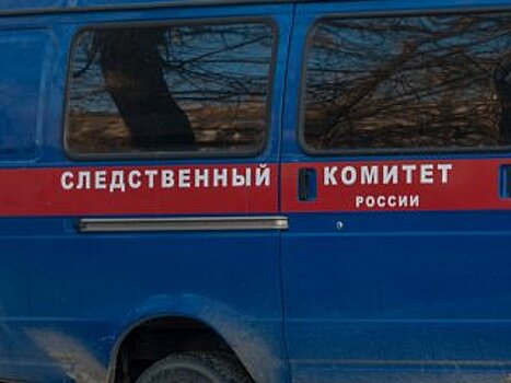 СК Башкирии проверяет обстоятельства смерти 16-летней школьницы