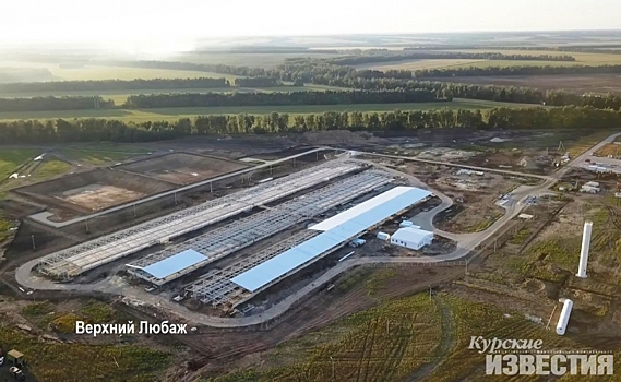 Роман Старовойт прокомментировал строительство комплекса «Мираторг» в Поныровском районе