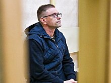 Директор нацпарка "Куршская коса" отправлен под домашний арест по делу о вырубке леса