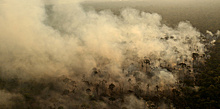 Дым над Южной Америкой: грозят ли Бразилии санкции за пожары в Амазонии?