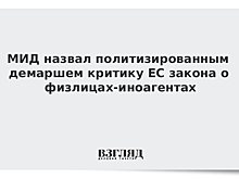 МИД назвал политизированным демаршем критику ЕС закона о физлицах-иноагентах