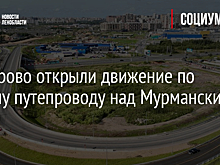 Что изменится в УСН-декларации за 2024 год: проект опубликован