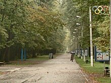 В Пензе готовятся к обработке Олимпийской аллеи от клещей