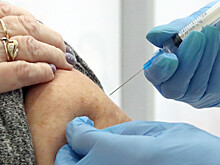 Прививка по возрасту: пожилых петербуржцев обязали вакцинироваться к январю