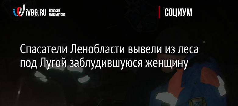 Спасатели Ленобласти вывели из леса под Лугой заблудившуюся женщину