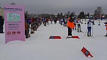 Порядка 250 человек прошли дистанции первенства Вологды по лыжным гонкам