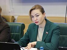 Сенатор Никонорова: Жилищное строительство в ДНР набирает темпы