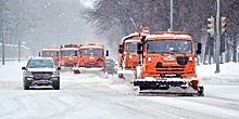 В Царицыне устраняют «последствия» настоящей зимы