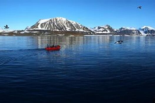 В Архангельске и Северодвинске пройдёт кинофестиваль «Arctic Open»