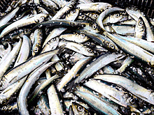 Найден продукт, который подешевел: это селедка
