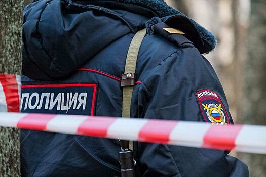 В Ростове полиция, МЧС и волонтеры сутки искали несуществующих пропавших детей