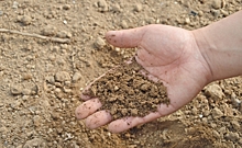 Земля дышит весной: правила обработки почвы