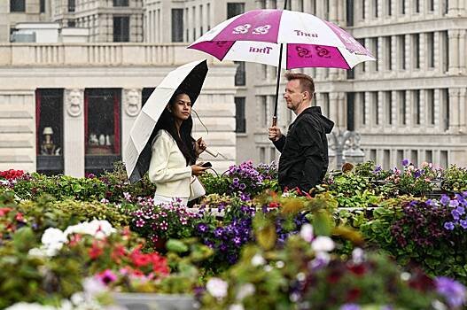 Москвичам назвали срок потепления