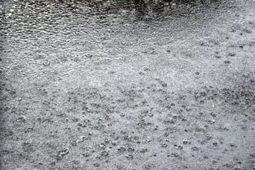 Сильные дожди с грозами пообещали синоптики в Белгороде