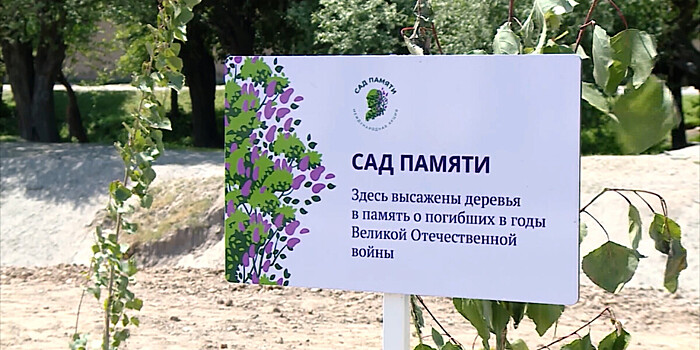 Пятьдесят деревьев высадили в Таджикистане в память о героях Великой Отечественной войны