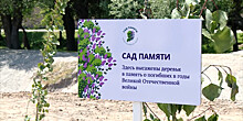 Пятьдесят деревьев высадили в Таджикистане в память о героях Великой Отечественной войны