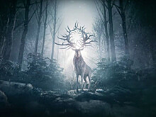 Война и монстры в тизере экранизации фэнтези «Тень и кость» Netflix