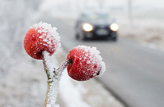 Обзор инопрессы. Зима-2017 знаменует начало Малого ледникового периода?