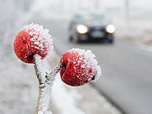 Обзор инопрессы. Зима-2017 знаменует начало Малого ледникового периода?