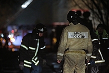 Опознаны тела четырех погибших при пожаре под Воронежем