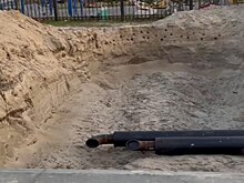В Новом Уренгое сохранят гнёзда облюбовавших песочную яму стрижей