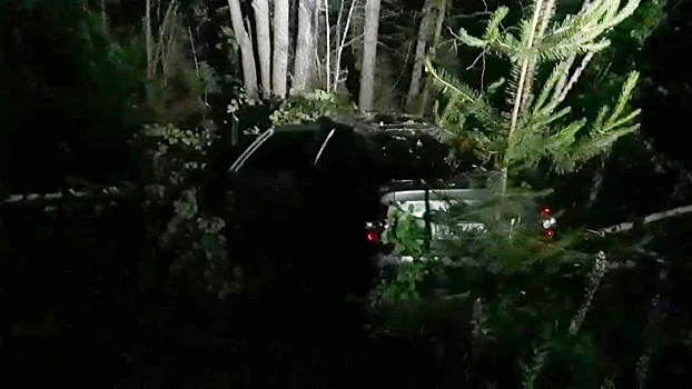 Девушка-водитель и два пассажира легковушки получили травмы от удара о дерево в Лукояновском районе