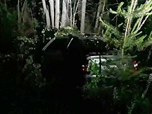 Девушка-водитель и два пассажира легковушки получили травмы от удара о дерево в Лукояновском районе