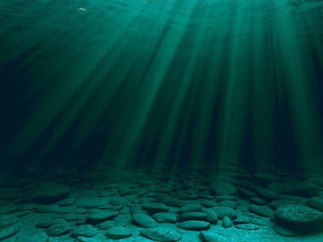 Российские ученые нашли новые виды глубоководных моллюсков