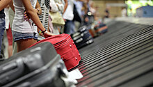 СФ рекомендовал отклонить закон об отмене бесплатного багажа