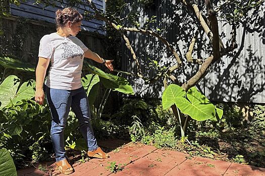 В США на заднем дворе случайно нашли реликвию из Древнего Рима