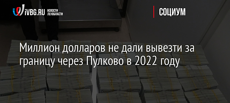 Миллион долларов не дали вывезти за границу через Пулково в 2022 году