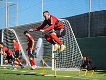 Заварзин - о переходе Дзюбы в "Акрон": видимо, хочет человек подзаработать к пенсии