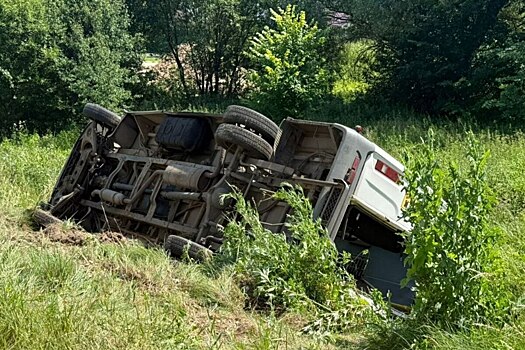 15 человек пострадали при опрокидывании микроавтобуса в Подмосковье