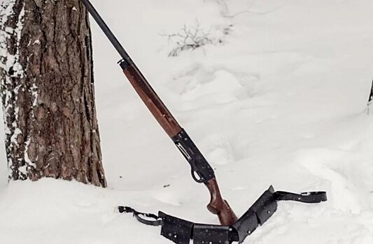 В Красноярском крае охотник застрелил своего товарища