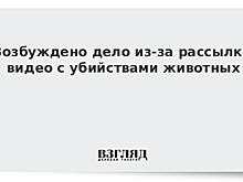 Возбуждено дело из-за рассылки видео с убийствами животных
