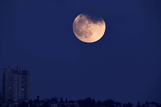 Лунный посевной календарь на ноябрь 2025 года: благоприятные и неблагоприятные дни для садовых работ