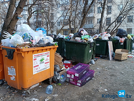 Мусорщикам разрешили класть «яйца» в одну «корзину»