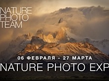 В Галерее Классической Фотографии откроется выставка фотографов дикой природы NATURE PHOTO EXP