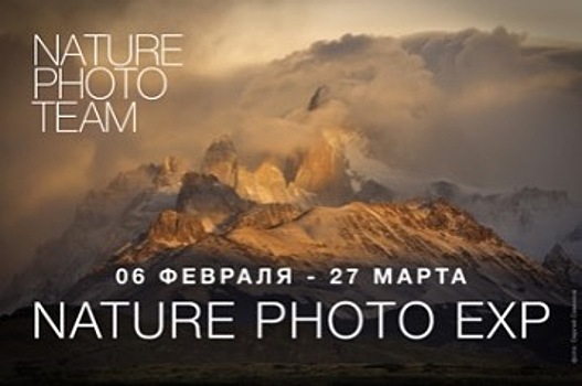 В Галерее Классической Фотографии откроется выставка фотографов дикой природы NATURE PHOTO EXP